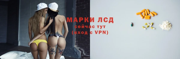 ALPHA PVP Гусев